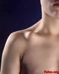 Clavicula
